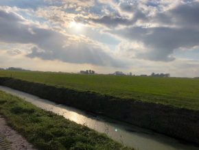 De Meesterknecht